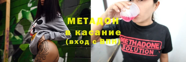 прущие грибы Волосово