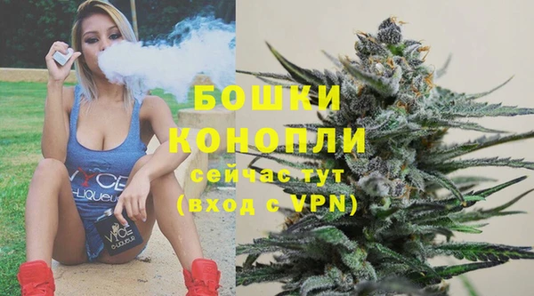 прущие грибы Волосово