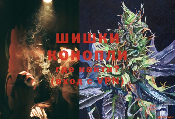 прущие грибы Волосово