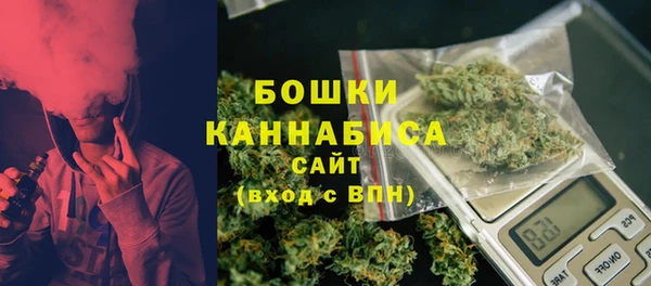 прущие грибы Волосово